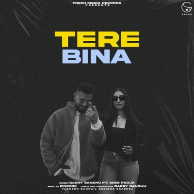 Download Tere Bina Garry Sandhu mp3 song, Tere Bina full album download