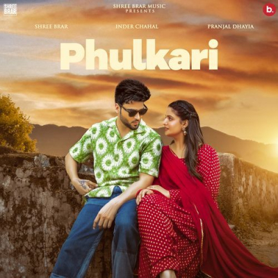 Download Phulkari Shree Brar mp3 song, Phulkari full album download