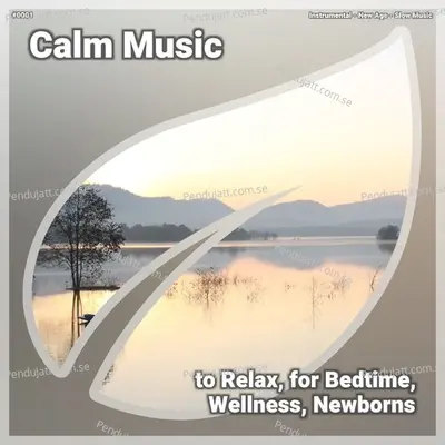  0001 Calm Music To Relax  For Bedtime  Wellness  Newborns - Instrumental cover album