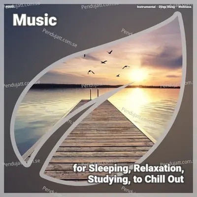    0001 Music For Sleeping  Relaxation  Studying  To Chill Out - Instrumental cover album