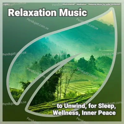  0001 Relaxation Music To Unwind  For Sleep  Wellness  Inner Peace - Instrumental cover album