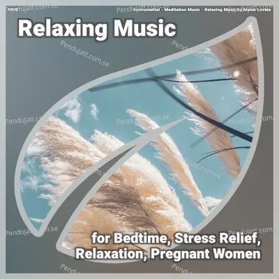  0001 Relaxing Music For Bedtime  Stress Relief  Relaxation  Pregnant Women - Instrumental cover album