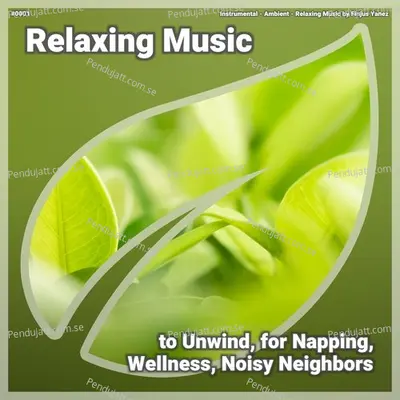  0001 Relaxing Music To Unwind  For Napping  Wellness  Noisy Neighbors - Instrumental cover album
