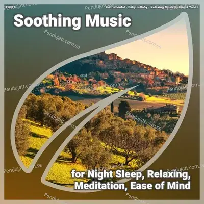    0001 Soothing Music For Night Sleep  Relaxing  Meditation  Ease Of Mind - Instrumental cover album