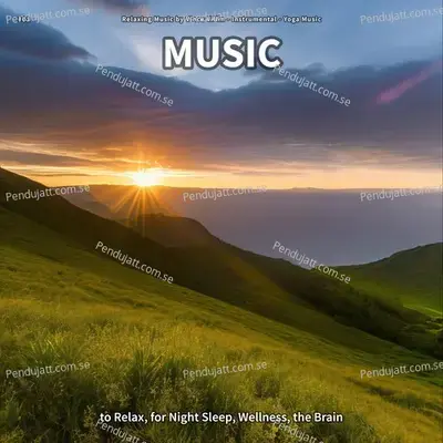 Serene Music To Work To - Peaceful Music album cover 