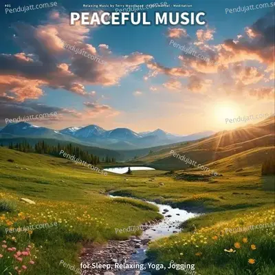 Magnificent Minute - Relaxing Music by Terry Woodbead album cover 