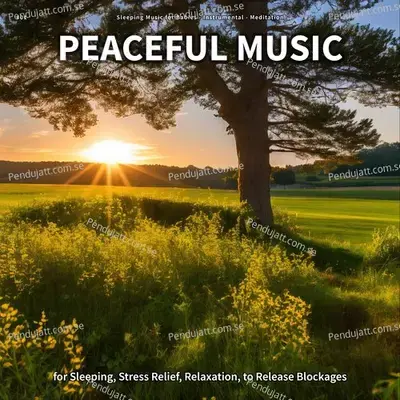 Peaceful Music  Pt  56 - Sleeping Music for Babies album cover 