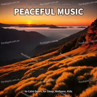  01 Peaceful Music To Calm Down  For Sleep  Wellness  Kids - Relaxing Music by Melina Reat cover album