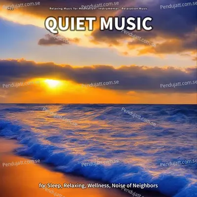  01 Quiet Music For Sleep  Relaxing  Wellness  Noise Of Neighbors - Relaxing Music for Meditation cover album