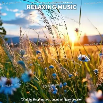 Calming Music For Your Soul - Relaxing Music by Vince Villin album cover 