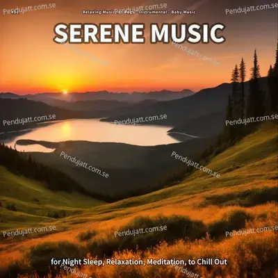  01 Serene Music For Night Sleep  Relaxation  Meditation  To Chill Out - Relaxing Music for Dogs cover album