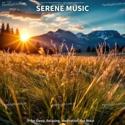  01 Serene Music For Sleep  Relaxing  Meditation  The Brain - Music for Deep Meditation cover album