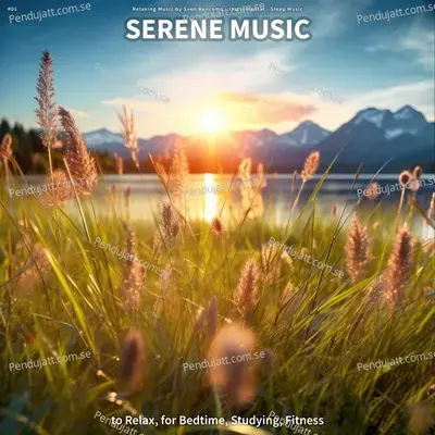 Peerless Relaxing Music - Relaxing Music for Meditation album cover 