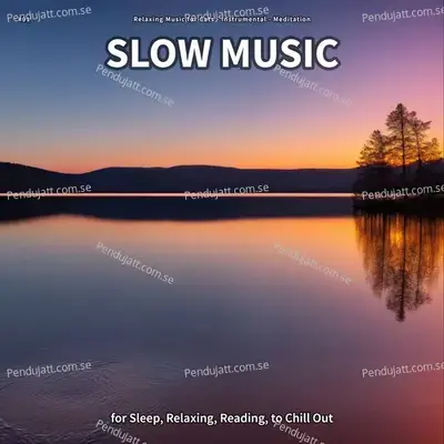  - Relaxing Music For Cats 