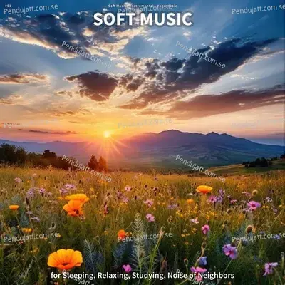 Relaxing Music For Spa - Soft Music album cover 