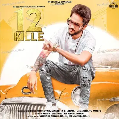 12 Kille - MD Desi Rockstar album cover 