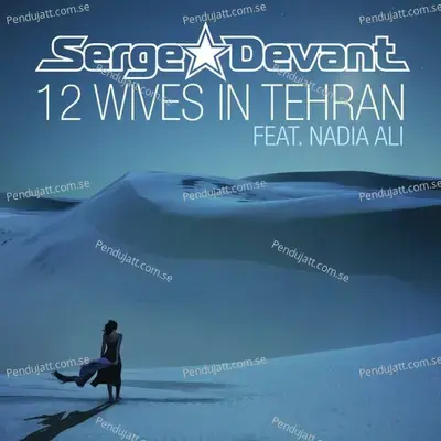 12 Wives In Tehran - Serge Devant album cover 