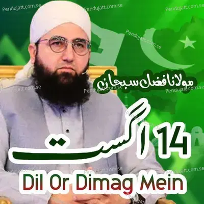 14 August Dil Or Dimag Mein - Molana Fazal Subhan album cover 