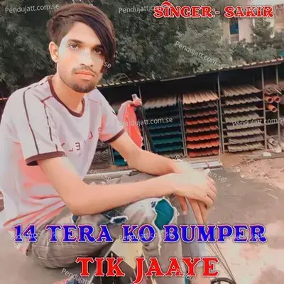 14 Tera Ko Bumper Tik Jaaye - Sakir Singer Mewati album cover 