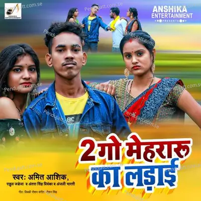 2 Go Mehraru Ka Ladayi - Amit Ashik album cover 