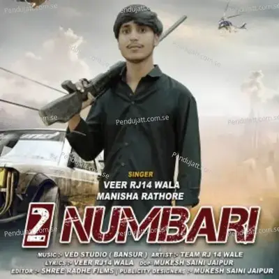 2 Numbari - Veer Rj14 Wala album cover 