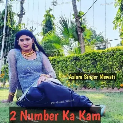 2 Number Ka Kam - Aslam Singer Mewati