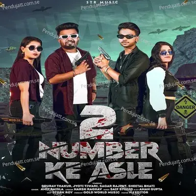 2 Number Ke Asle - Sourav Thakur album cover 