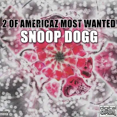 11 Aint No Fun - Snoop Dogg flac - Snoop Dogg album cover 