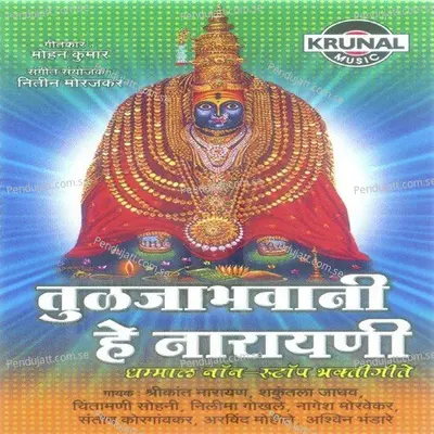 Palkhi Nighali Tuljapurachya Gavi - Shrikant Narayan album cover 