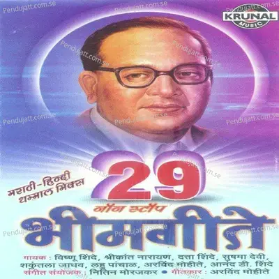 Bhim Jayanti  Budh Jayanti  Fule Jayanti - Shrikant album cover 