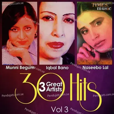 Awargi Mein Had Se Guzar Jana Chahiye - Munni Begum album cover 