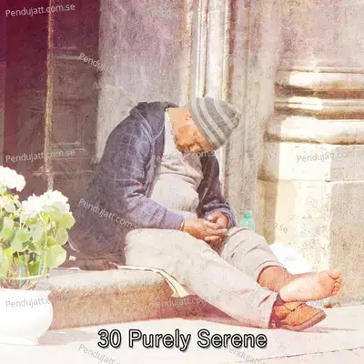 30 Purely Serene - Instrumental cover album