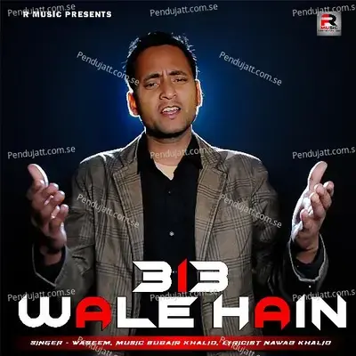 313 Wale Hain - Waseem album cover 