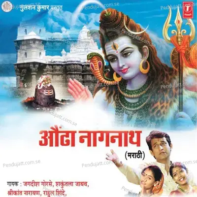 Shiv Shankar Hey Nageshwara  Rahivas Kari Dongrawari  Chala Gn Varulala Baai    Nagnathachi Amritwani  Jannabhari Shambhudari  Pahuya Nathnathacha Dham - Jagdish Gorse album cover 