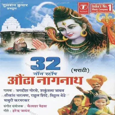 Shiv Shankar Hey Nageshwara  Rahivas Kari Dongrawari  Chala Gn Varulala Baai   nagnathachi Amritwani  Jannabhari Shambhudari  Pahuya Nathnathacha mp3 song