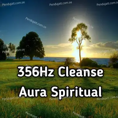 356 Hz Cleanse Aura Spiritual - Lakhan Hire album cover 