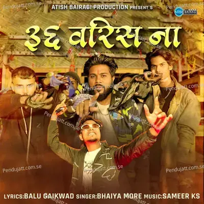 36 Varis Na - Bhaiya More album cover 