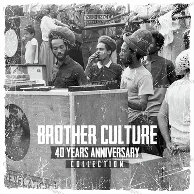 Heal Them - Brother Culture album cover 