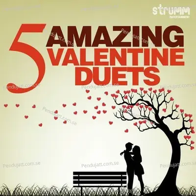 5 Amazing Valentine Duets -  cover album