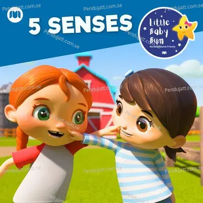 5 Senses - Little Baby Bum Nursery Rhyme Friends album cover 