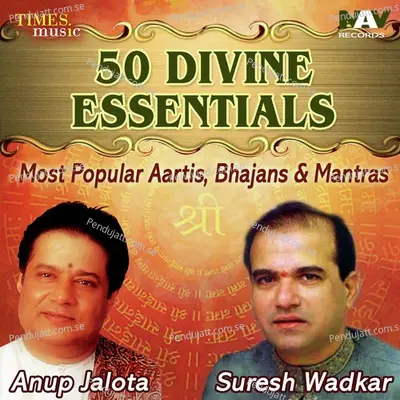 Om Namo Bhagwate Vasudevaye - Anup Jalota album cover 