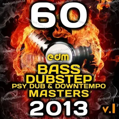 60 Bass  Dubstep  Psy Dub   Downtempo Masters 2013  Vol  1 - Dubstep Spook cover album