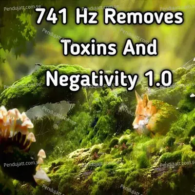741 Hz Removes Toxins And Negativity 1 0 - Lakhan Hire album cover 