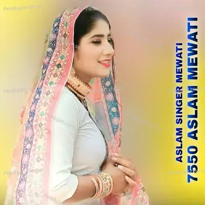 7550 Aslam Mewati - Aslam Singer Mewati album cover 