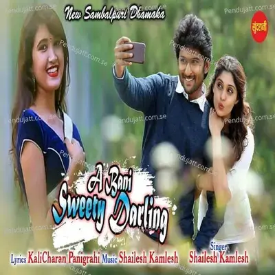 A Bani Sweety Darling - Shailesh album cover 