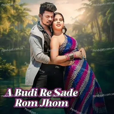 A Budi Re Sade Rom Jhom - Masang Hansdah album cover 