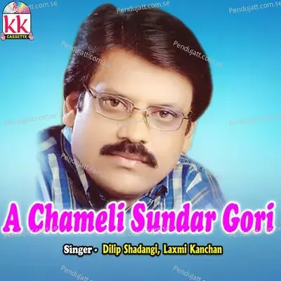 A Chameli Sundar Gori - Dilip Shadangi album cover 