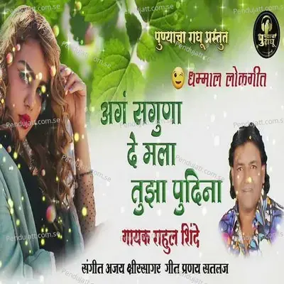 A Ga Saguna De Mala Tujha Pudina - Rahul Shinde album cover 