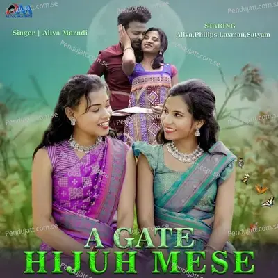 A Gate Hijuh Mese - Aliva Marndi album cover 