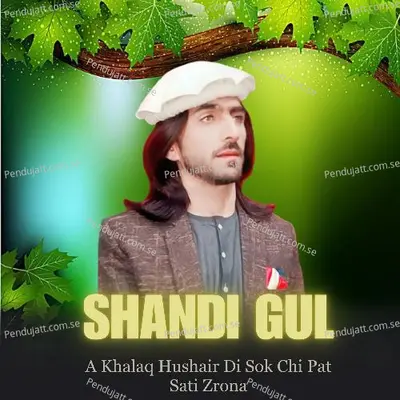 A Khalaq Hushair Di Sok Chi Pat Sati Zrona - Shandi Gul album cover 